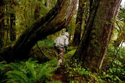 Winter Steelhead fishing