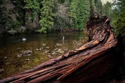 Remote river fishing