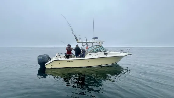 The "Golden Horizon" Pursuit 255OS